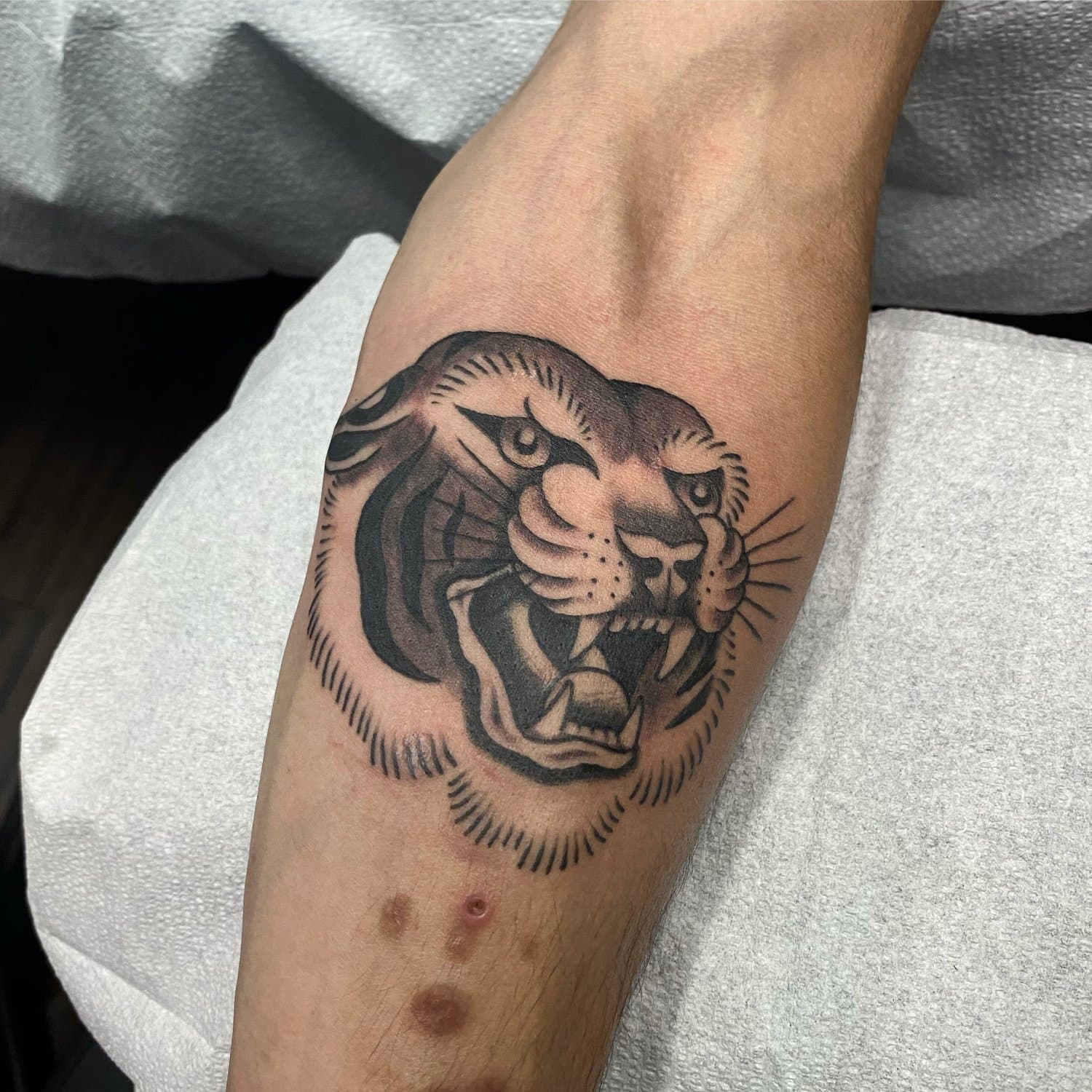 Traditional black and grey tiger head by Vancouver tattoo artist Hannah Prive