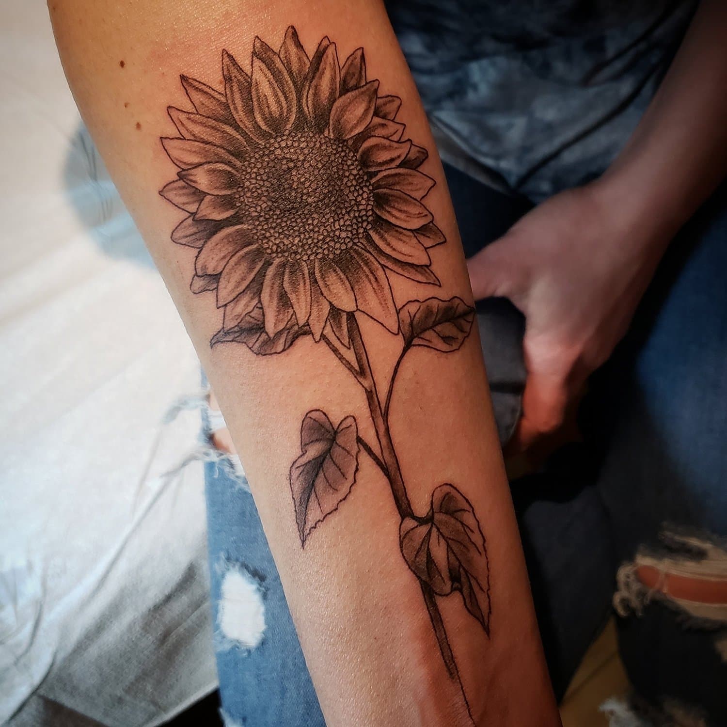 Black and gray outline of a sunflower tattoo on a person's forearm, showing detailed petals, leaves, and stem.