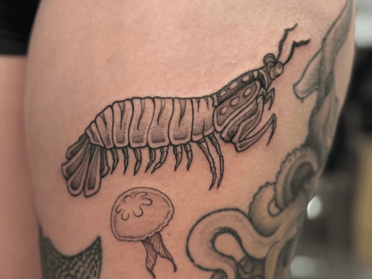 Black-and-grey illustrative mantis shrimp and marine-life thigh tattoo, attributed to Jenna on her Jade and Dagger profile page