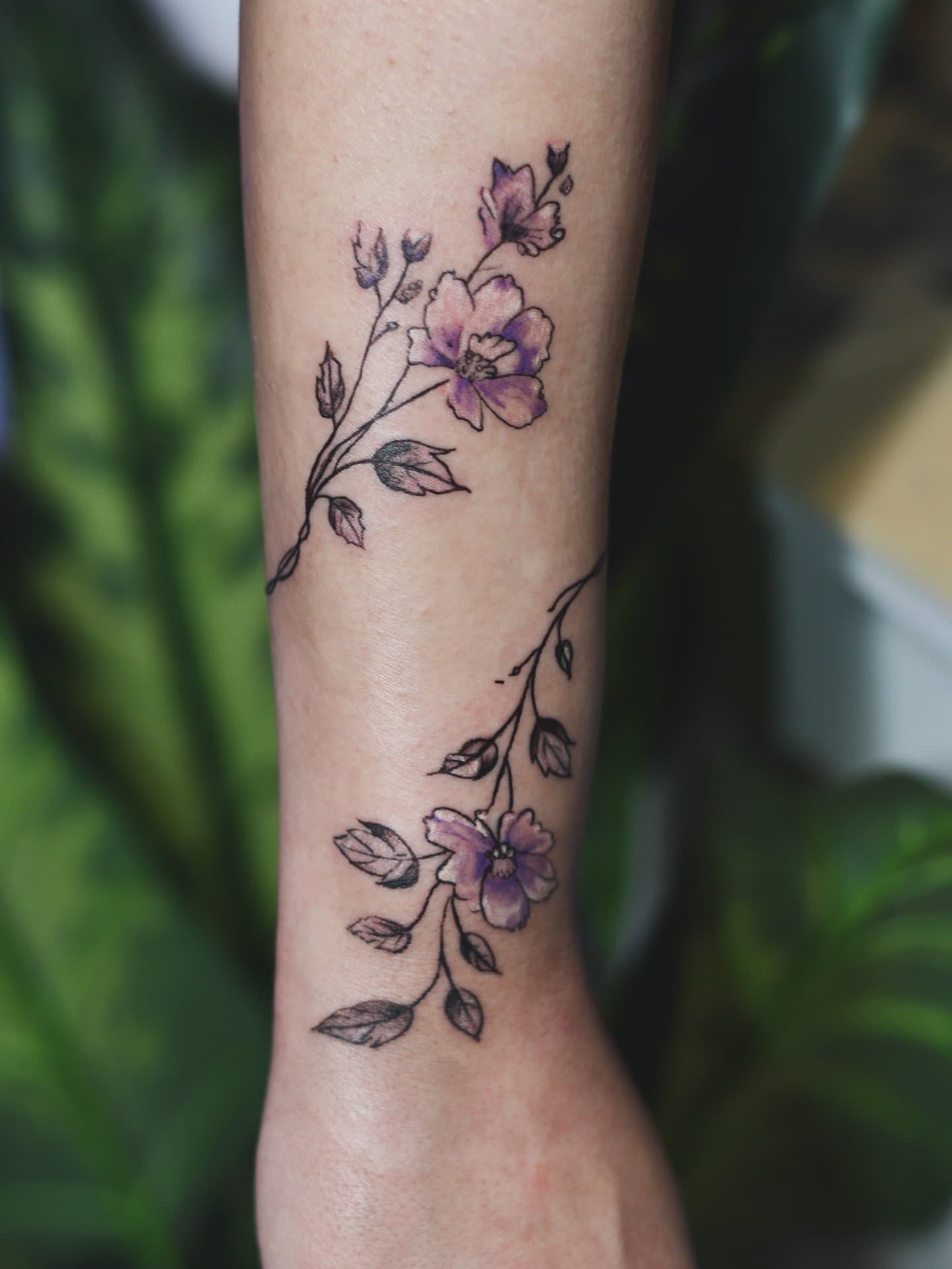 🌺