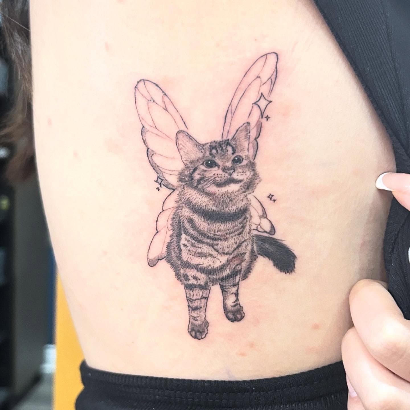 Fairy Cat 🧚 🐈‍⬛ #cattattoo #kittytattoo #fairytattoo #fairywingstattoo #hamiltontattoo #hamiltonontario #hamilton #tattoo #cattattoos #pettattoo