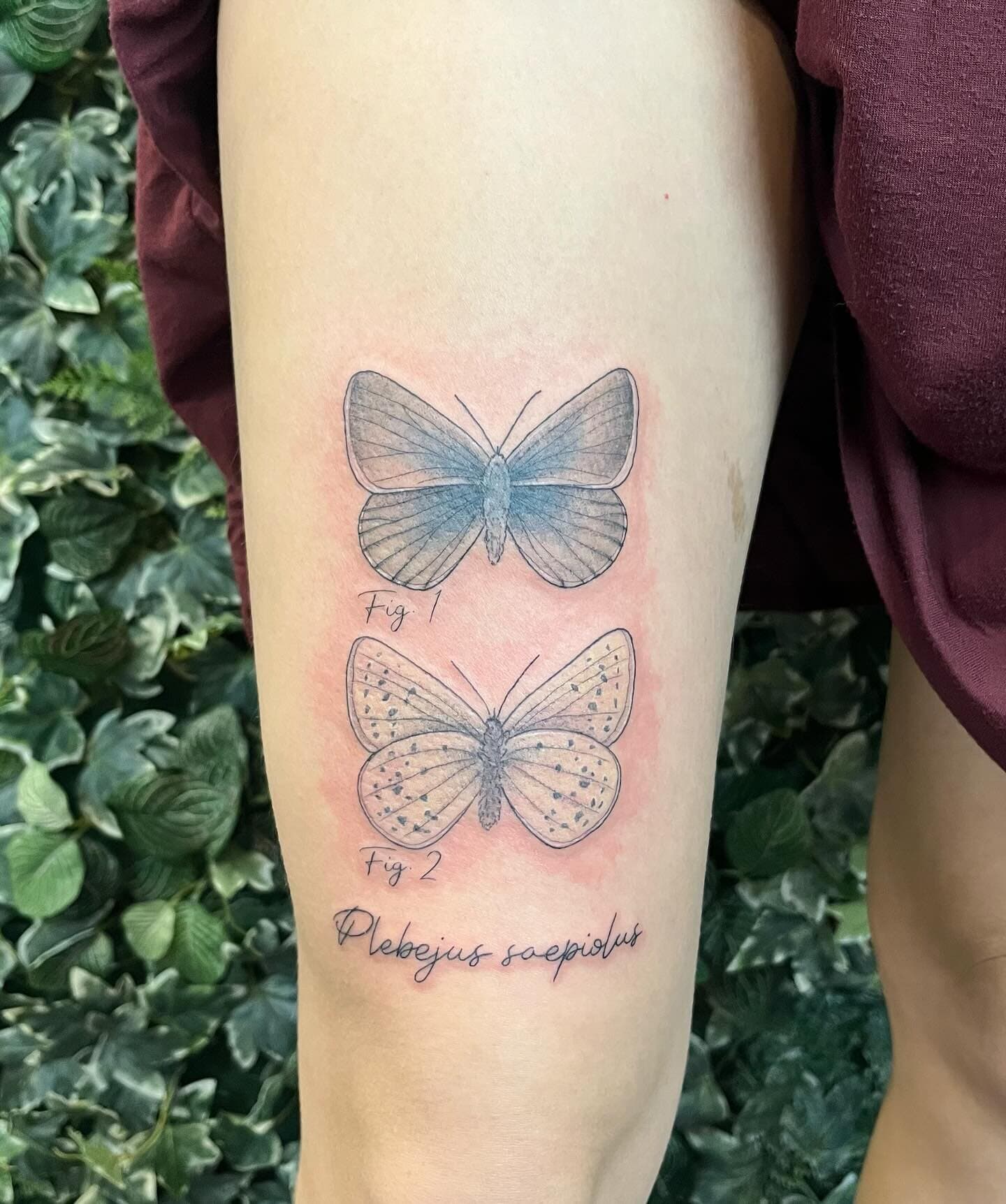 Butterflies and fineline script done by Alex - she loves tattooing animals and insects!
If you’d like to book an appointment with us please head over to our website (link in bio). We’ll get back to you to get references and any other in