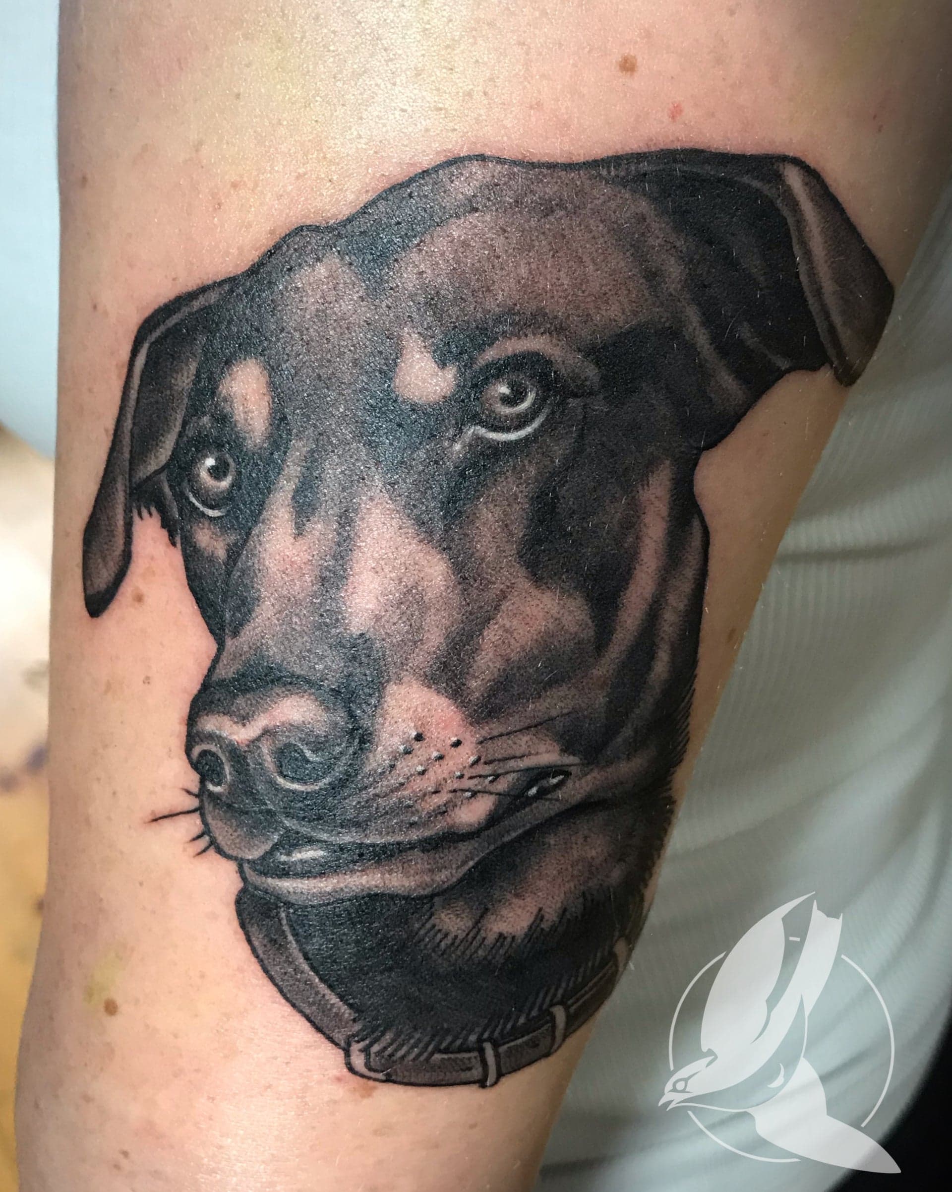 Waxwing Tattoo Company