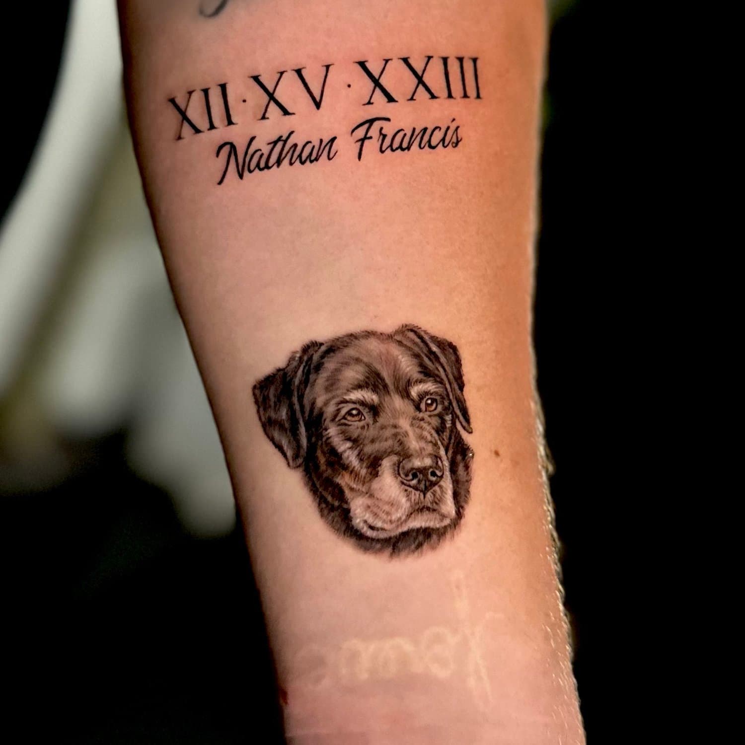 Tattoo of a dog's head, with Roman numerals and the name Nathan Francis above it.