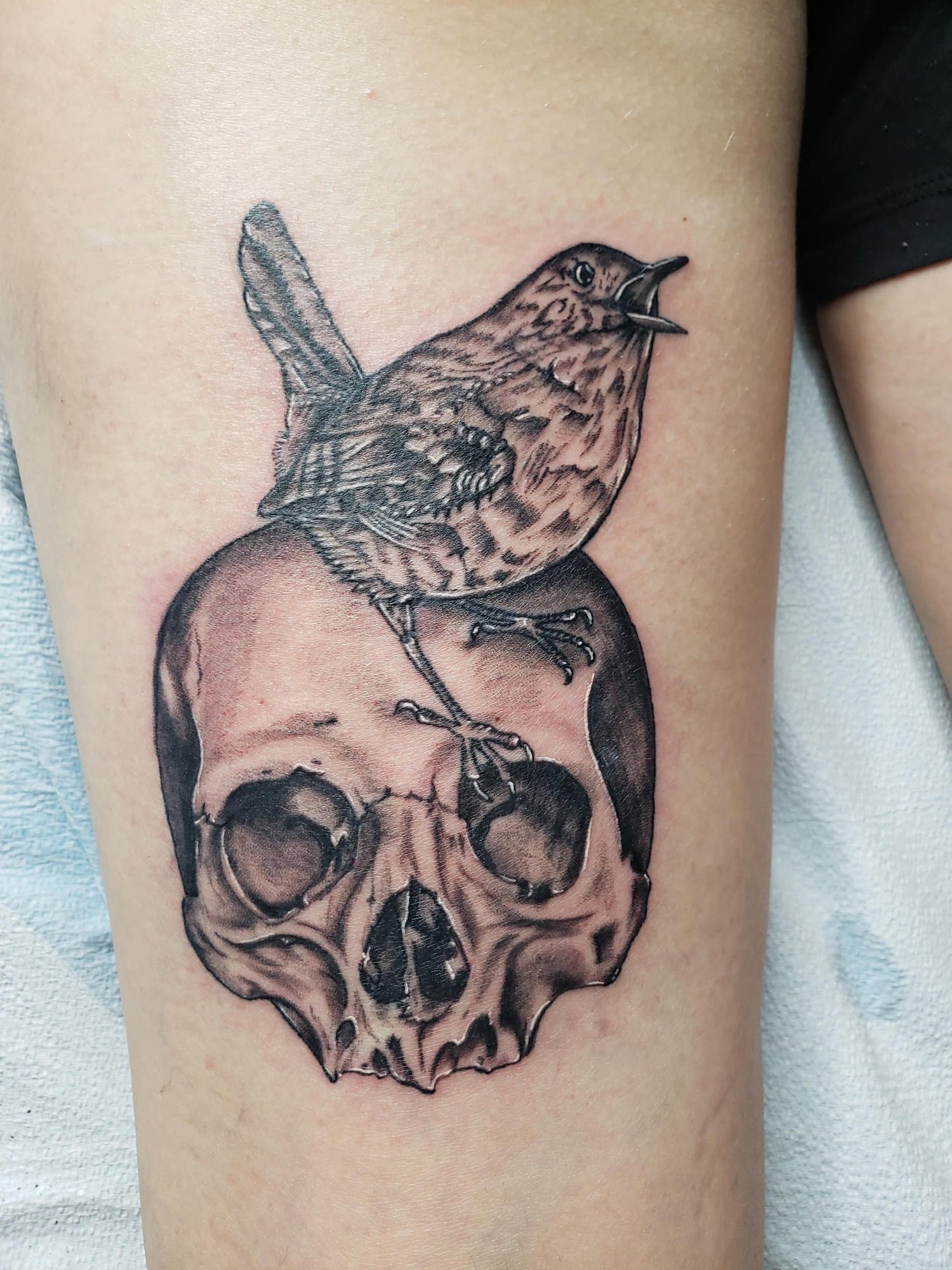 Tattoo of a bird perched on a human skull.
