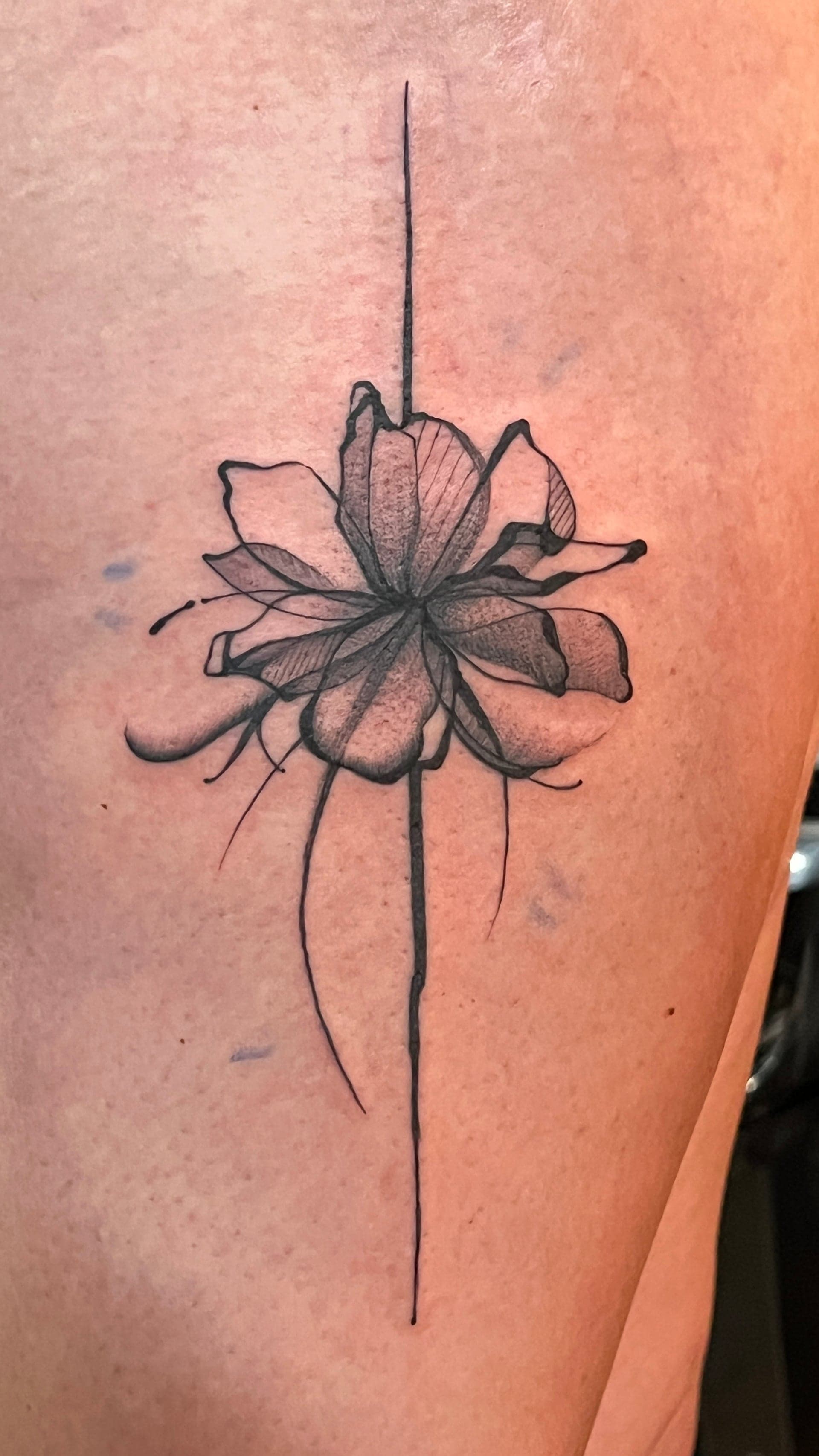Waxwing Tattoo Company