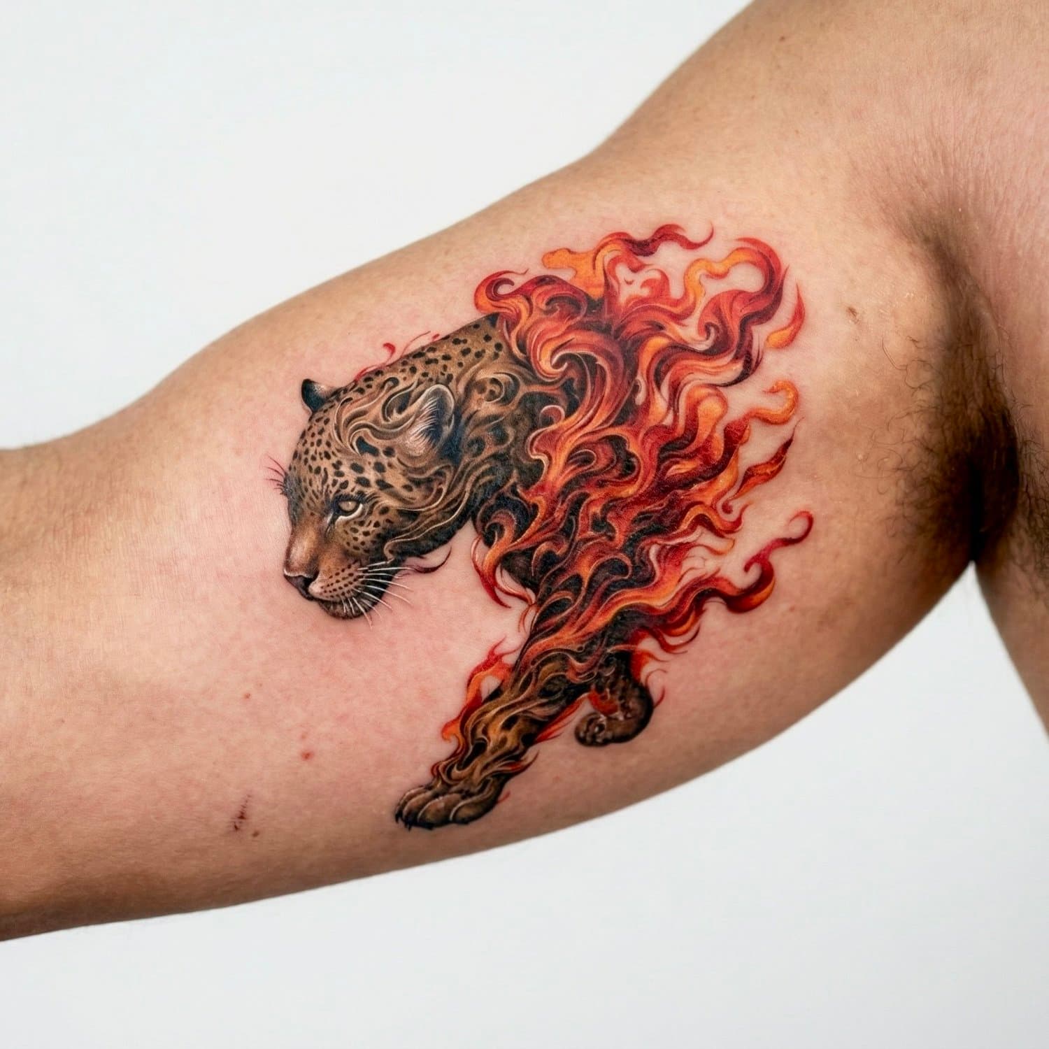 Tattoo of a cheetah's head merging into a fiery, flame-like tail on a person's arm.