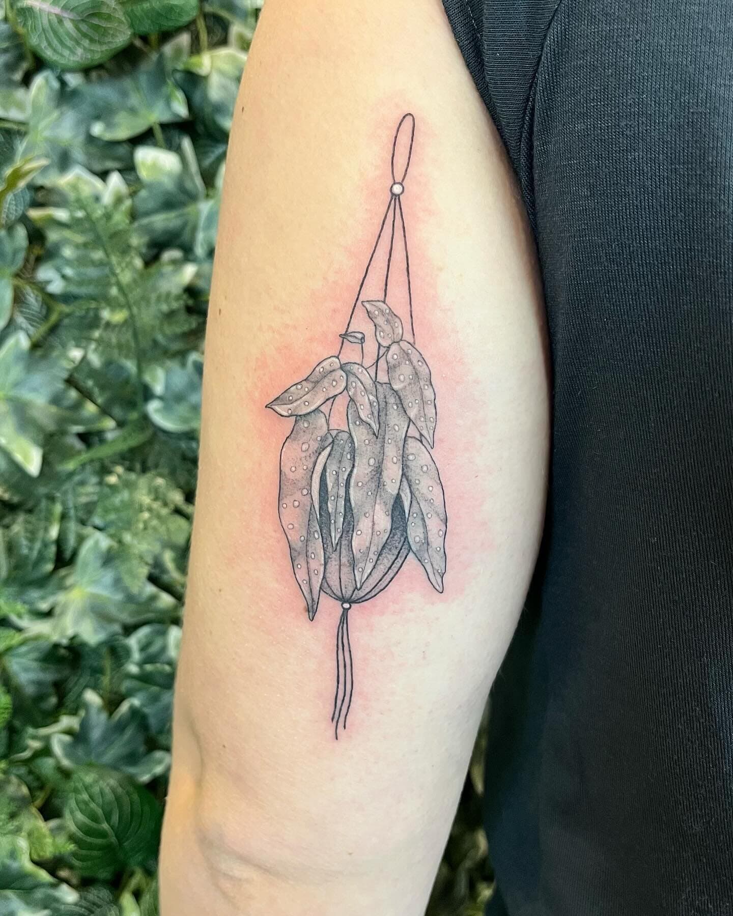 Some flash pieces done by Alex!
If you’d like to book an appointment with us please head over to our website (link in bio). We’ll get back to you to get references and any other information we’ll need to book you in!
#okanaganta