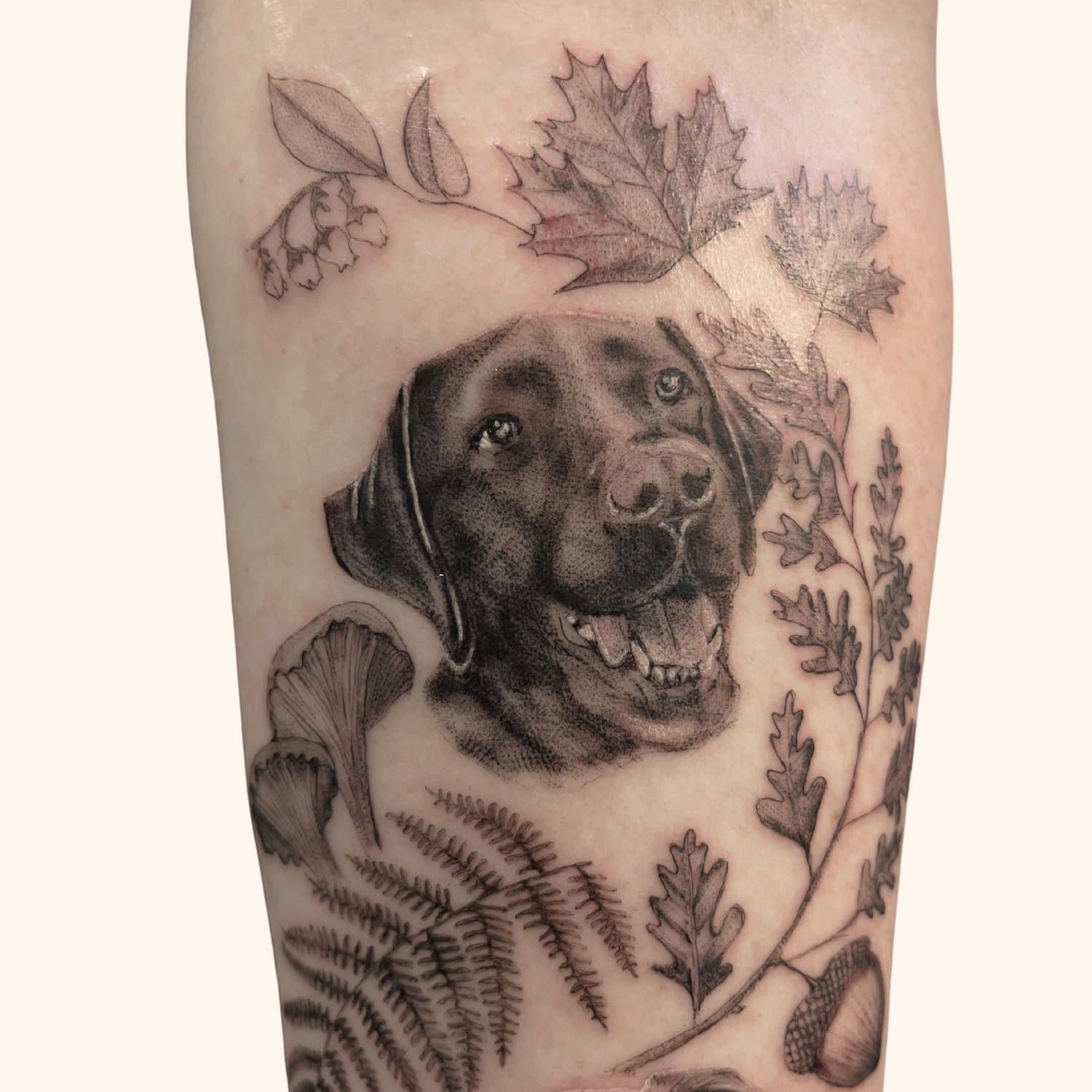 Tattoo of a black Labrador Retriever dog's face surrounded by various detailed leaves and fungi.