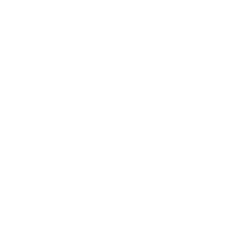 Vice Inks Tattoo Studio