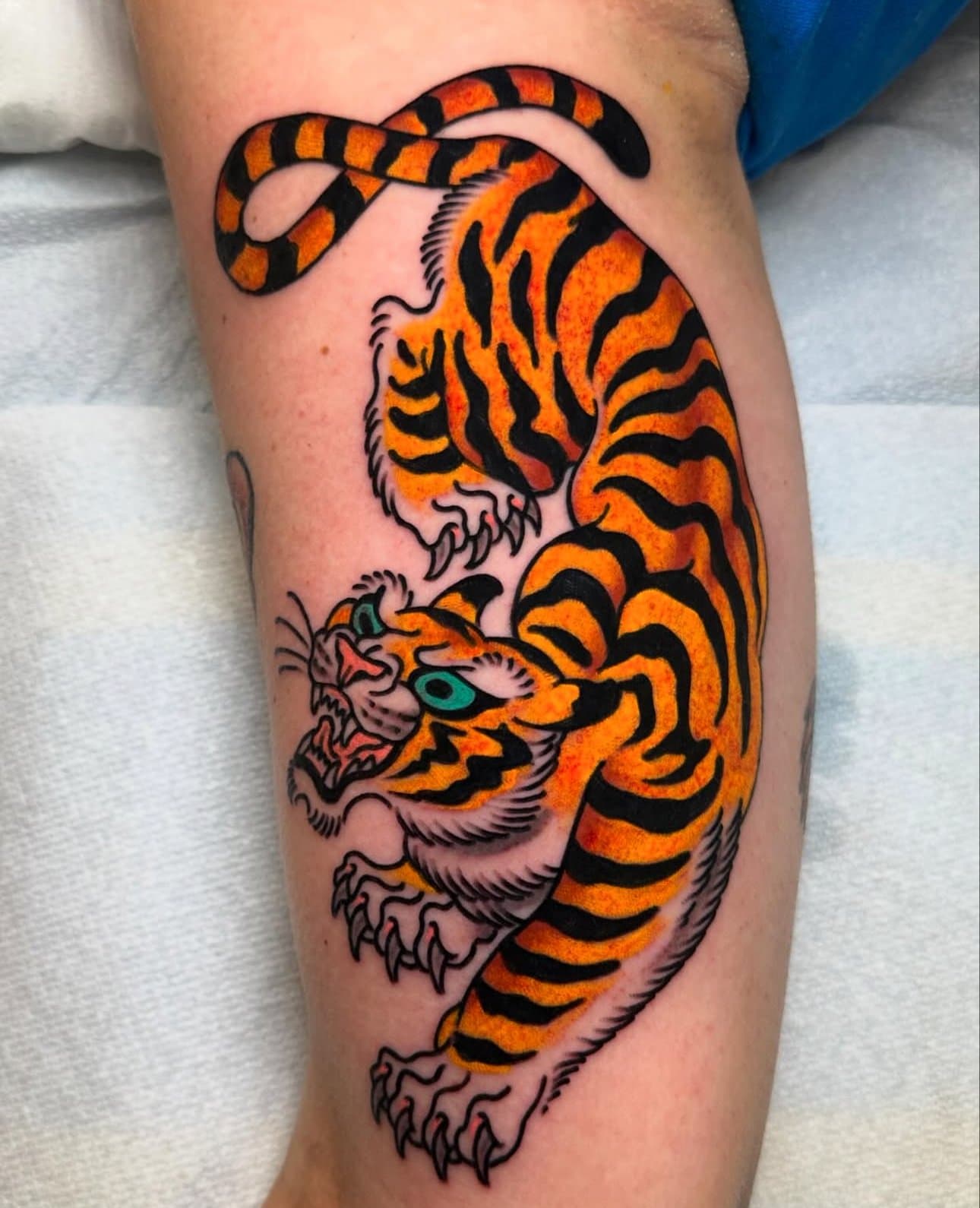 BY BAILY