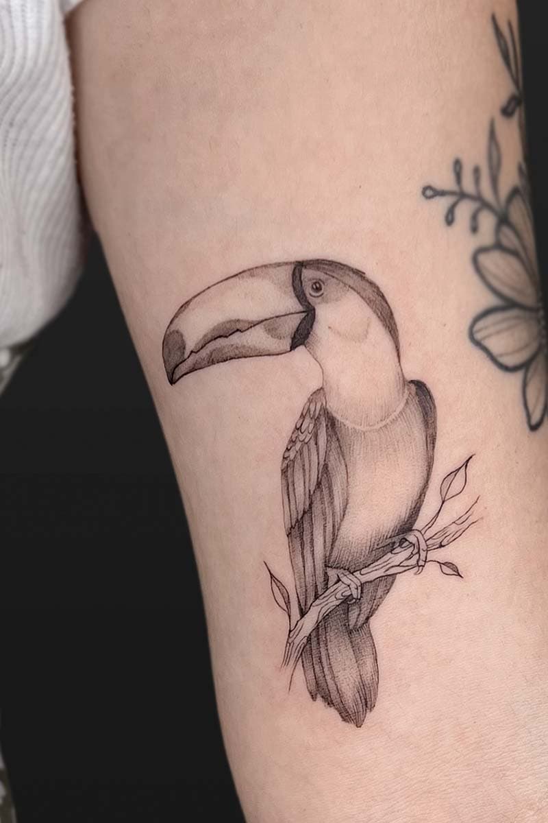 Atticus Tattoo| Microrealism tattoo of a toucan bird