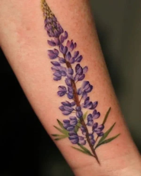A beautiful purple lupin tattoo in colour realism