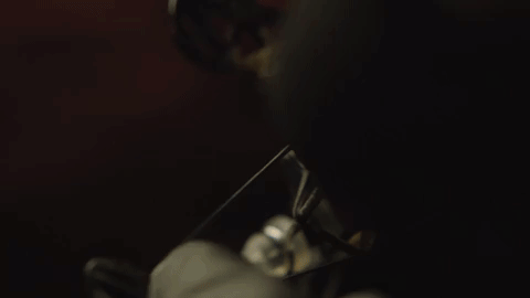 bellwoods gif.gif