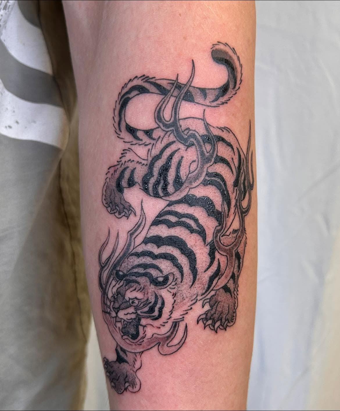 Tatouage traditionnel d'un tigre descendant sur le bras