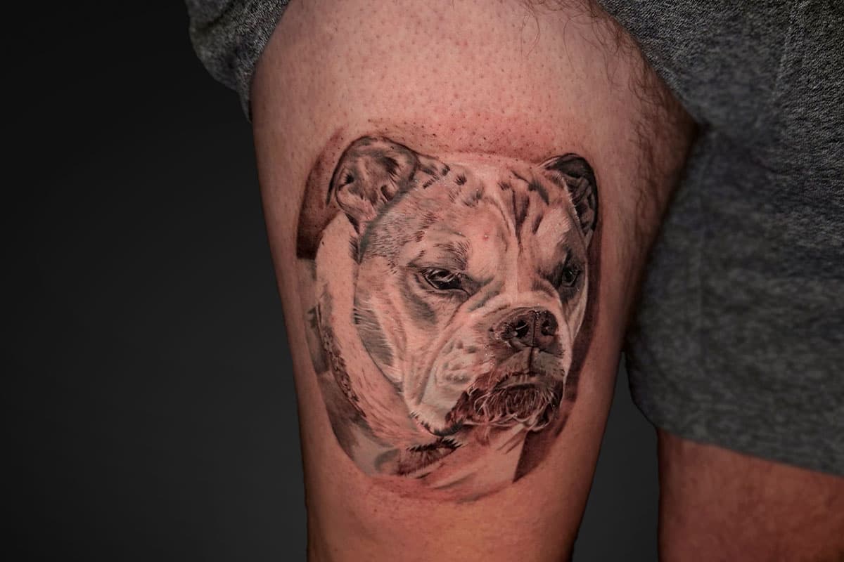 Realistic bulldog tattoo on thigh, black and grey, detailed facial features.