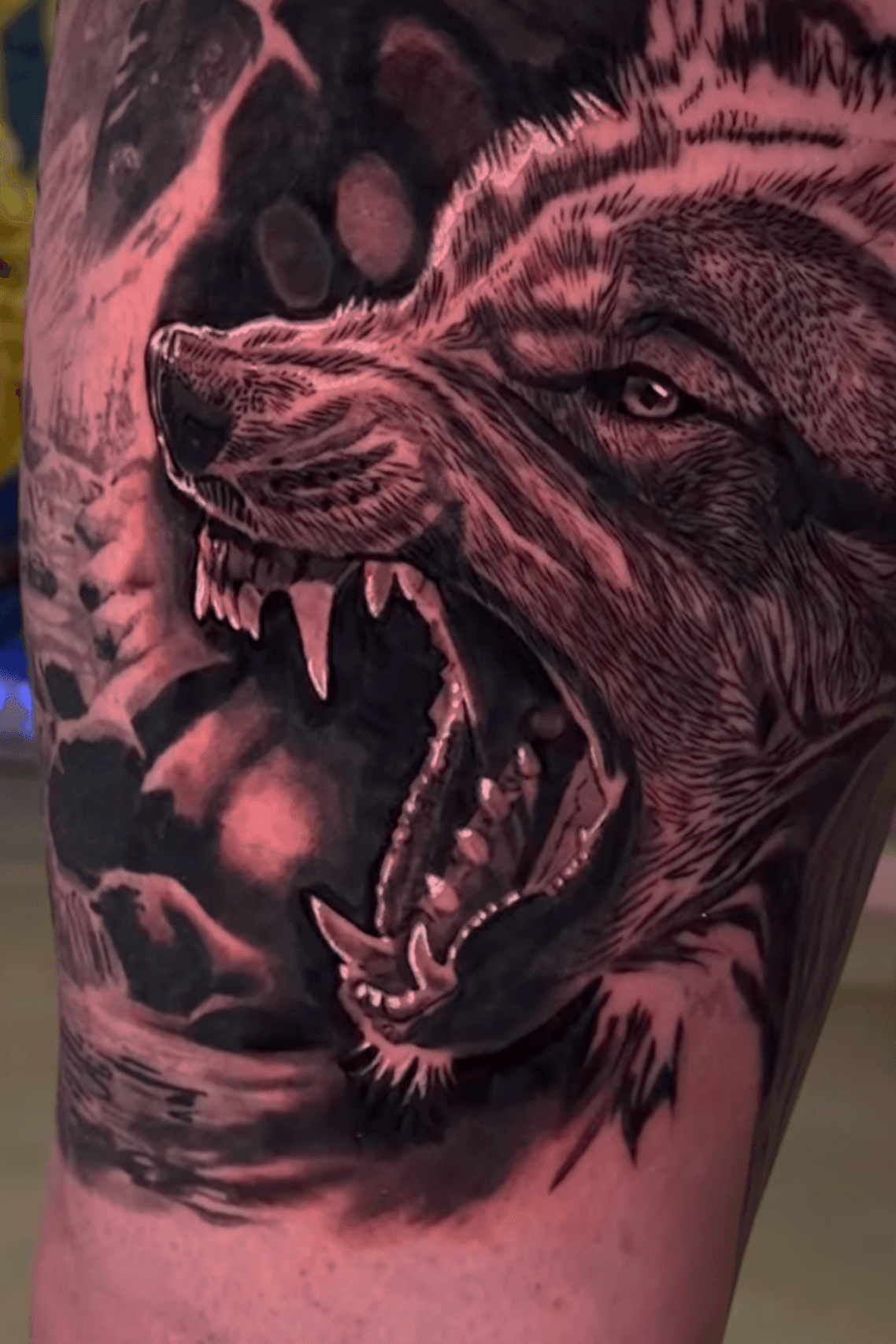 Black-and-grey realistic snarling wolf tattoo on a thigh, attributed to Calahan on his Jade and Dagger profile page