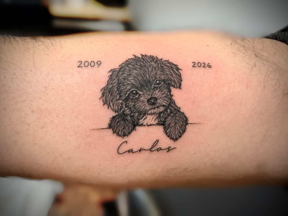 Fine-line memorial puppy portrait with the dates 2009 and 2026 and the name Carlos