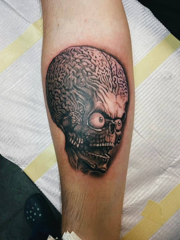 Black-and-grey alien skull with an enlarged textured brain and wide eyes