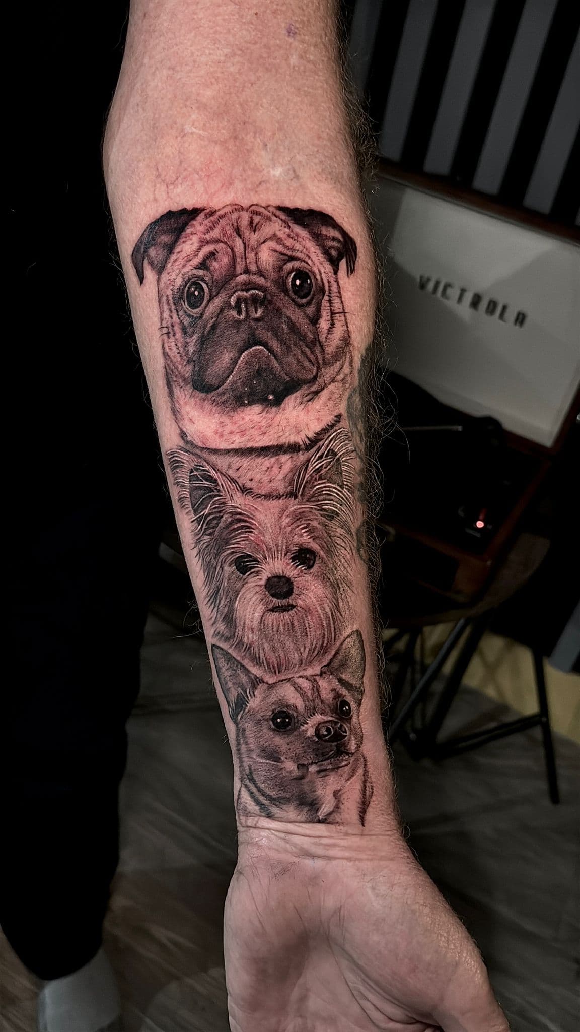 Lv ink - Tattoo studio