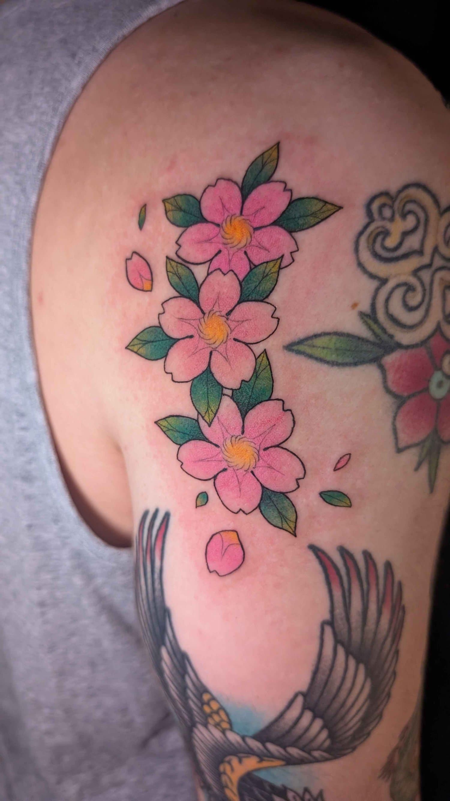 Three pink cherry blossoms with green leaves added beside an existing shoulder tattoo