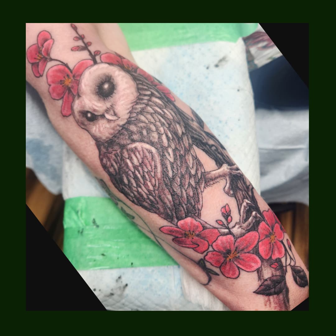 jason owl.jpg