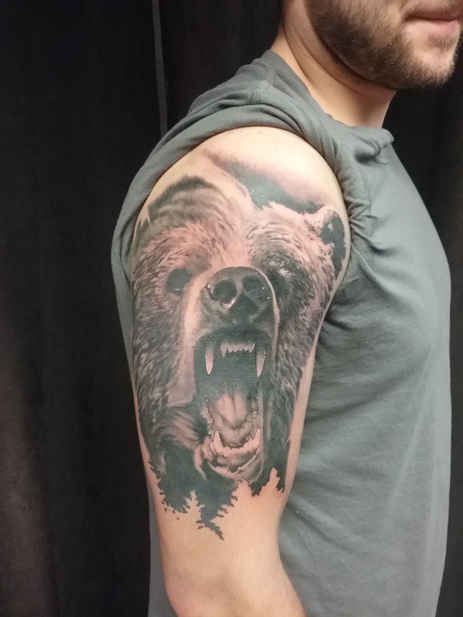 Tattoo of a black and grey realism bear roaring on a man's upper arm.