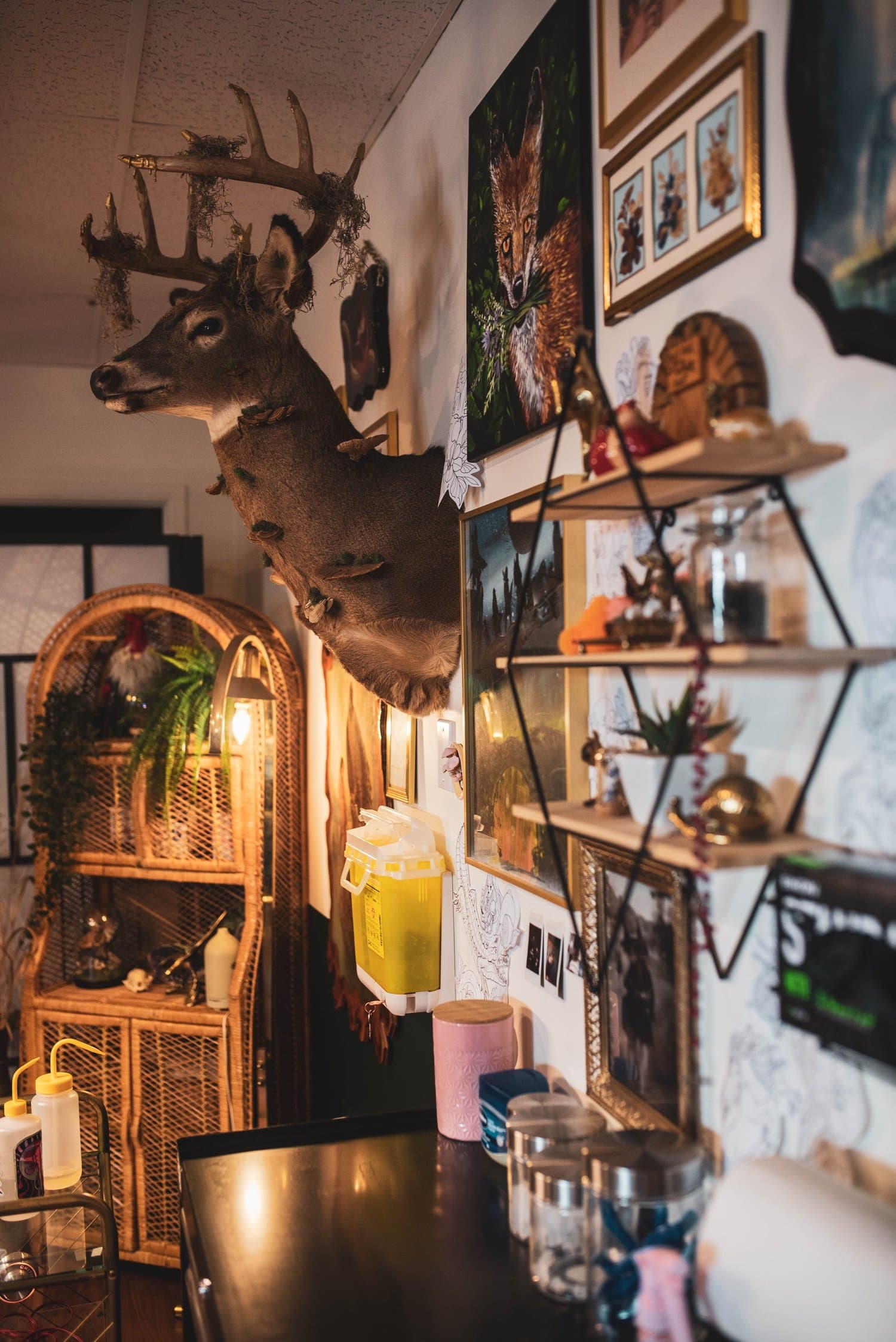 A decorated booth at Black Eleven Tattoo in Halifax with a mounted deer head on the wall, surrounded and curated art work on the walls