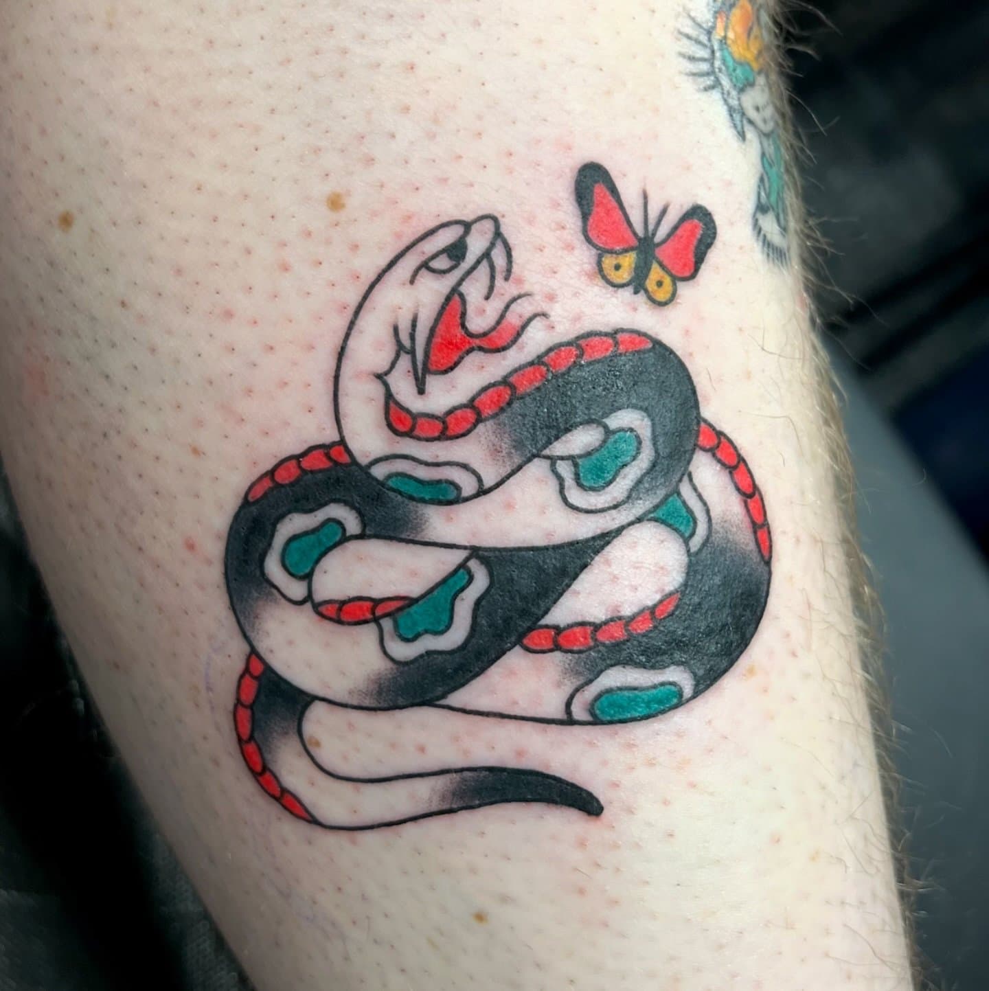 Some tattoos and other fun times in Newfoundland, can’t wait to go back! Thanks for having us @st.johnstattooconvention !