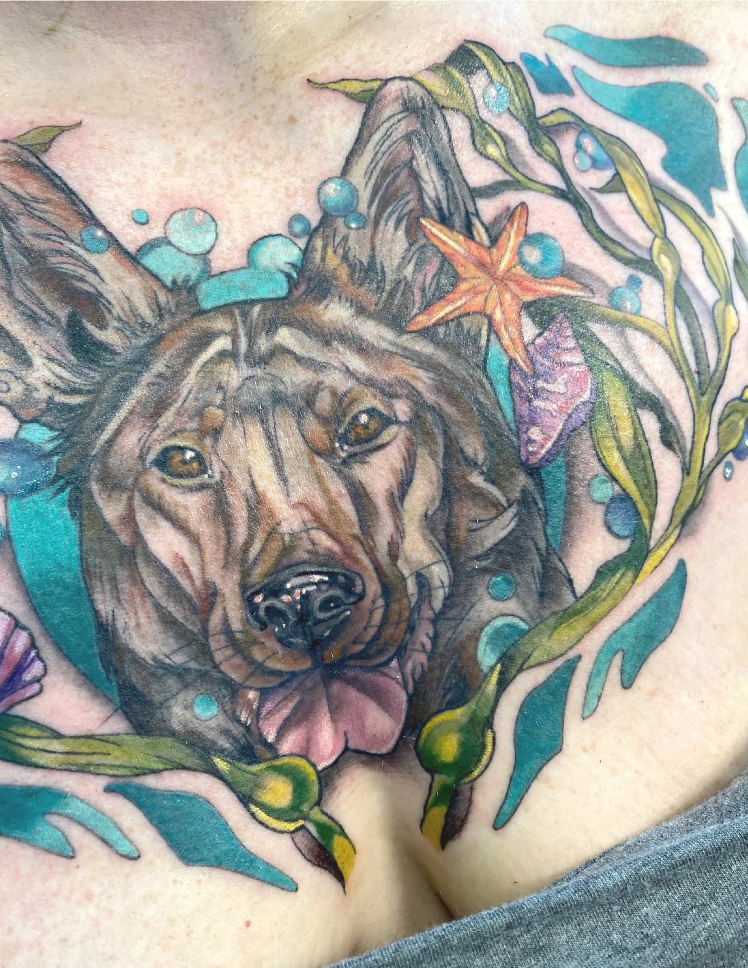 Colorful tattoo of a German shepherd dog with surrounding leaves, starfish, and sea shells on a person's chest.