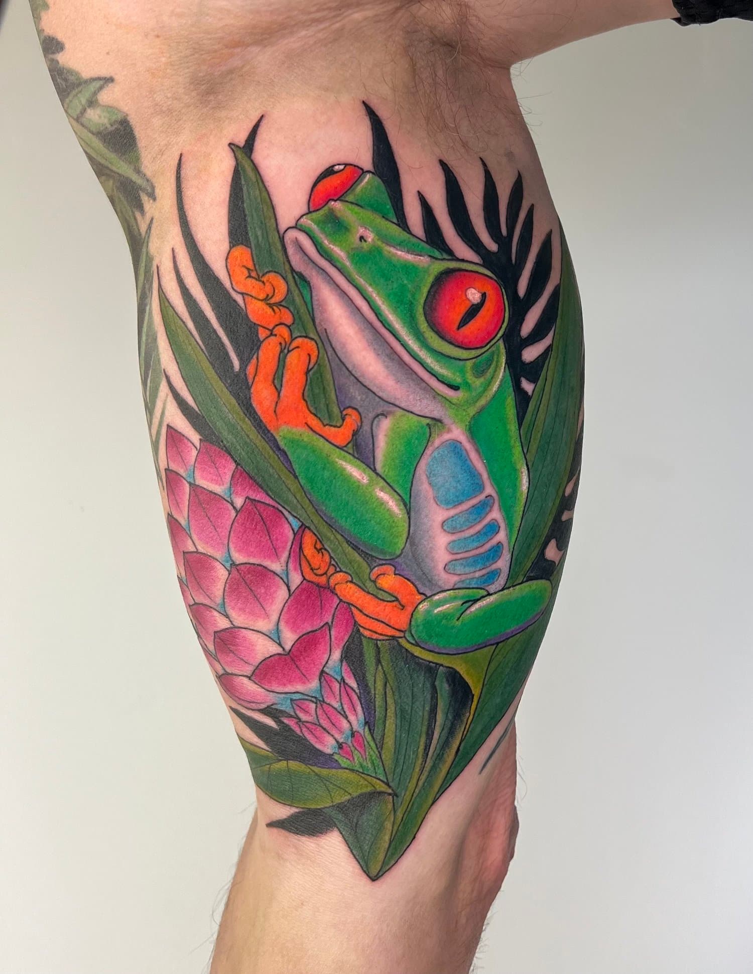 Colour red-eyed tree frog with foliage tattooed on a lower leg