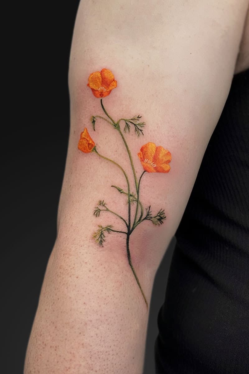 Orange poppy tattoo with green stems on the forearm, featuring three blossoms and delicate leaves on bare skin.