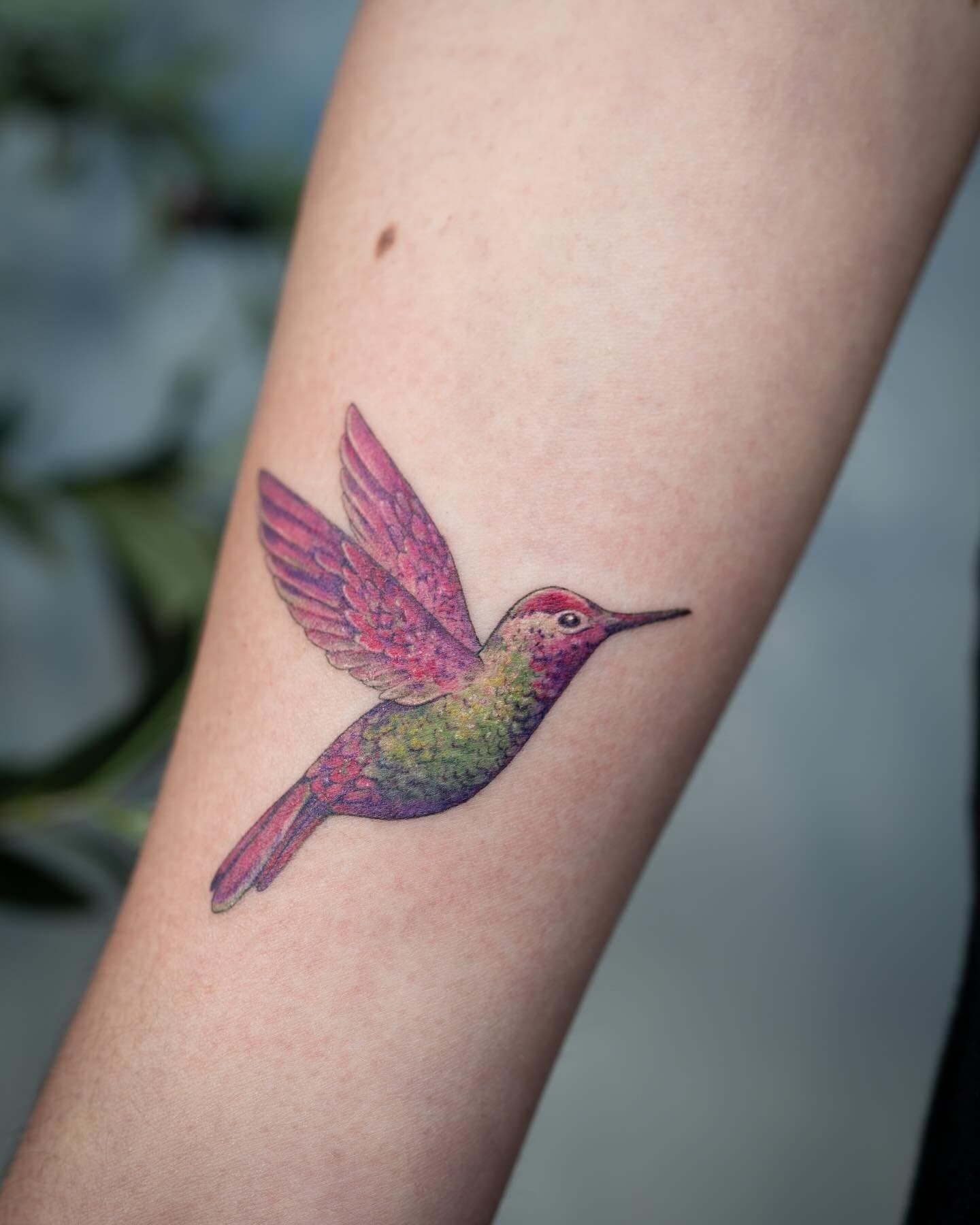Anna’s hummingbird 🤍 Meaningful souvenir from Vancouver for my lovely client January bookings open ✨ DM me!